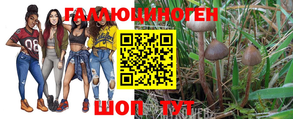 Галлюциногенные грибы ЛСД  Вход с VPN  Северобайкальск  Галлюциногенные грибы Psilocybe 
