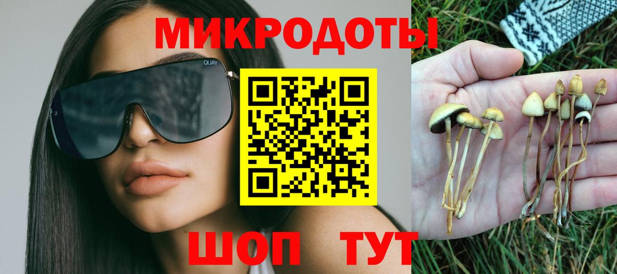 Галлюциногенные грибы прущие грибы Северобайкальск